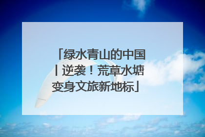 绿水青山的中国丨逆袭！荒草水塘变身文旅新地标