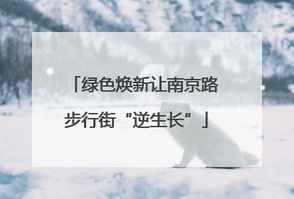绿色焕新让南京路步行街“逆生长”