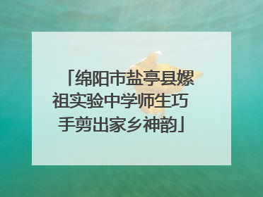 绵阳市盐亭县嫘祖实验中学师生巧手剪出家乡神韵