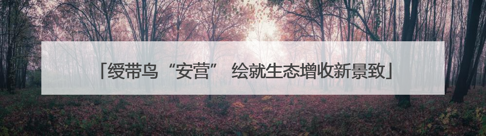 绶带鸟“安营” 绘就生态增收新景致