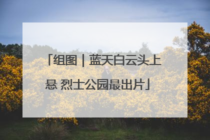 组图｜蓝天白云头上悬 烈士公园最出片