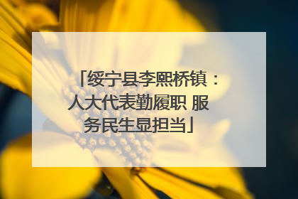 绥宁县李熙桥镇：人大代表勤履职 服务民生显担当