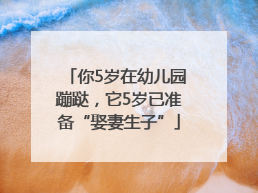 你5岁在幼儿园蹦跶，它5岁已准备“娶妻生子”