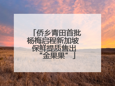 侨乡青田首批杨梅启程新加坡 保鲜提质售出“金果果”