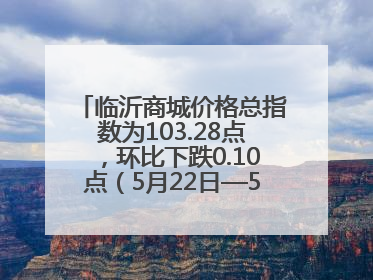 临沂商城价格总指数为103.28点，环比下跌0.10点（5月22日—5月28日）