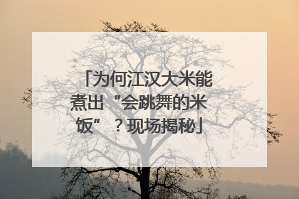为何江汉大米能煮出“会跳舞的米饭”？现场揭秘