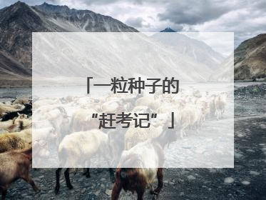 一粒种子的“赶考记”