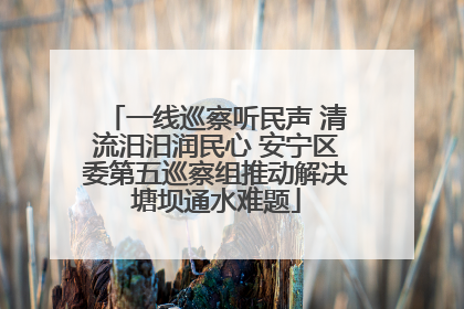 一线巡察听民声 清流汨汨润民心 安宁区委第五巡察组推动解决塘坝通水难题