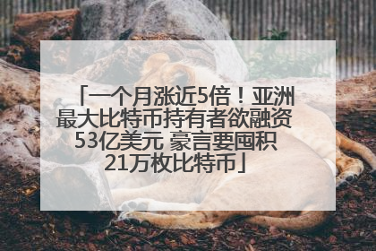 一个月涨近5倍！亚洲最大比特币持有者欲融资53亿美元 豪言要囤积21万枚比特币