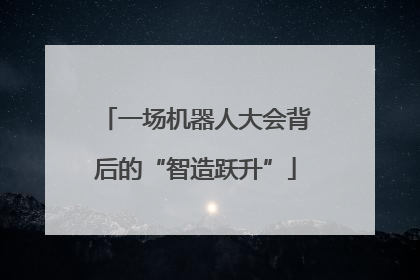 一场机器人大会背后的“智造跃升”