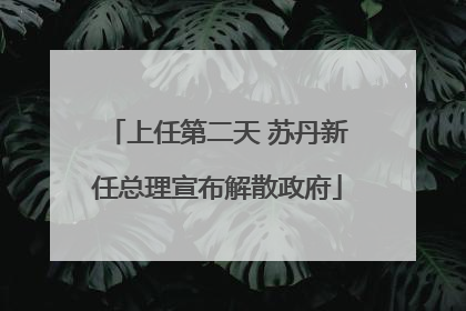 上任第二天 苏丹新任总理宣布解散政府