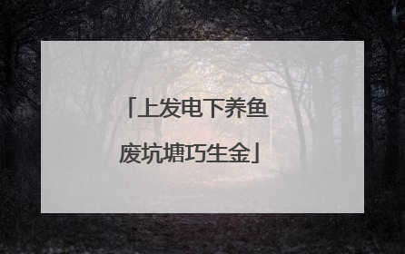 上发电下养鱼 废坑塘巧生金