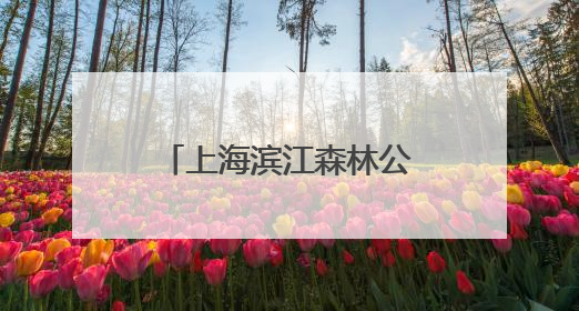 上海滨江森林公园绣球花展启幕，近5万株绣球花海打造治愈系画面