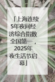 上海连续5年夜间经济综合指数全国第一，2025年夜生活节启幕