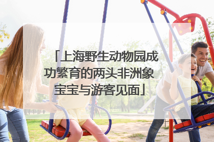 上海野生动物园成功繁育的两头非洲象宝宝与游客见面