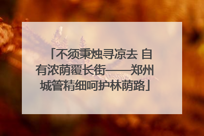 不须秉烛寻凉去 自有浓荫覆长街——郑州城管精细呵护林荫路