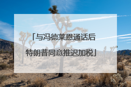 与冯德莱恩通话后 特朗普同意推迟加税