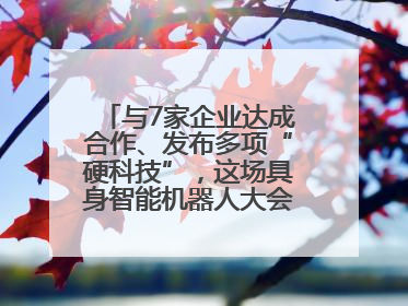 与7家企业达成合作、发布多项“硬科技”，这场具身智能机器人大会蓉城启幕