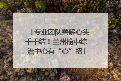 专业团队善解心头千千结！兰州榆中综治中心有“心”招