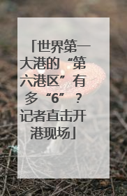 世界第一大港的“第六港区”有多“6”？记者直击开港现场