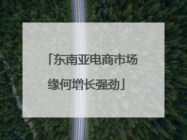 东南亚电商市场缘何增长强劲