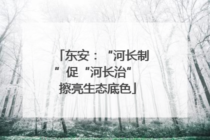 东安：“河长制”促“河长治” 擦亮生态底色