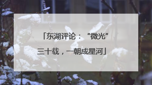 东湖评论：“微光”三十载，一朝成星河