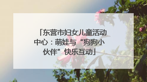 东营市妇女儿童活动中心：萌娃与“狗狗小伙伴”快乐互动