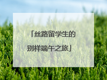 丝路留学生的别样端午之旅