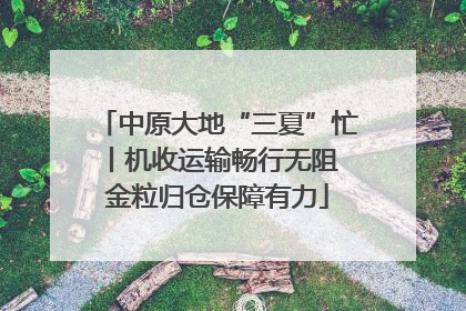 中原大地“三夏”忙丨机收运输畅行无阻 金粒归仓保障有力