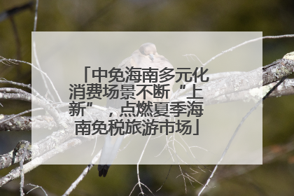 中免海南多元化消费场景不断“上新”，点燃夏季海南免税旅游市场