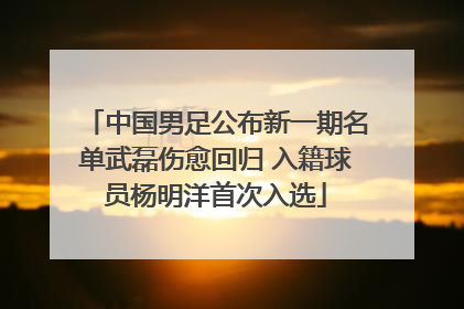 中国男足公布新一期名单武磊伤愈回归 入籍球员杨明洋首次入选
