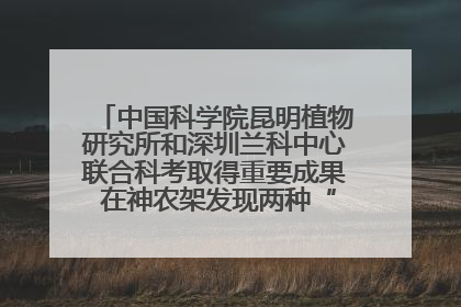中国科学院昆明植物研究所和深圳兰科中心联合科考取得重要成果 在神农架发现两种“国保”级兰花