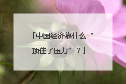 中国经济靠什么“顶住了压力”？