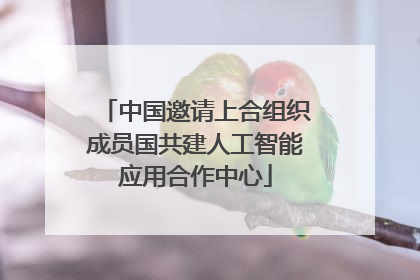中国邀请上合组织成员国共建人工智能应用合作中心