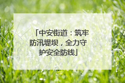 中安街道：筑牢防汛堤坝，全力守护安全防线