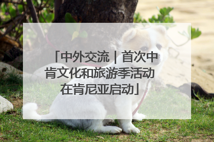 中外交流｜首次中肯文化和旅游季活动在肯尼亚启动