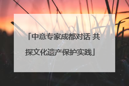 中意专家成都对话 共探文化遗产保护实践
