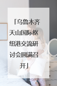 乌鲁木齐天山国际枢纽港交流研讨会圆满召开