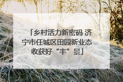 乡村活力新密码 济宁市任城区田园新业态收获好“丰”景
