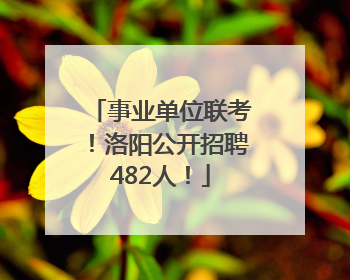事业单位联考！洛阳公开招聘482人！