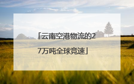 云南空港物流的27万吨全球竞速