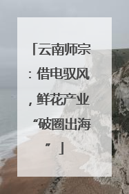 云南师宗：借电驭风，鲜花产业“破圈出海”