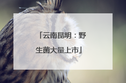 云南昆明：野生菌大量上市