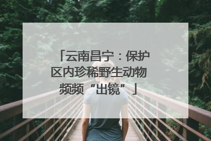 云南昌宁：保护区内珍稀野生动物频频“出镜”