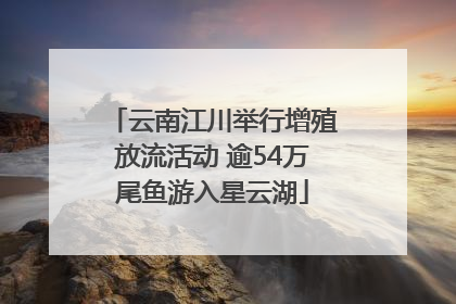 云南江川举行增殖放流活动 逾54万尾鱼游入星云湖