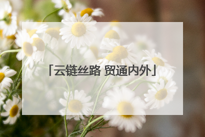 云链丝路 贸通内外