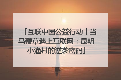 互联中国公益行动丨当马鞭草遇上互联网：昆明小渔村的逆袭密码