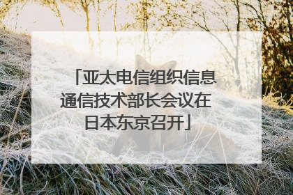 亚太电信组织信息通信技术部长会议在日本东京召开