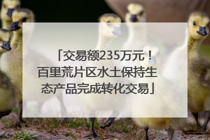 交易额235万元！百里荒片区水土保持生态产品完成转化交易